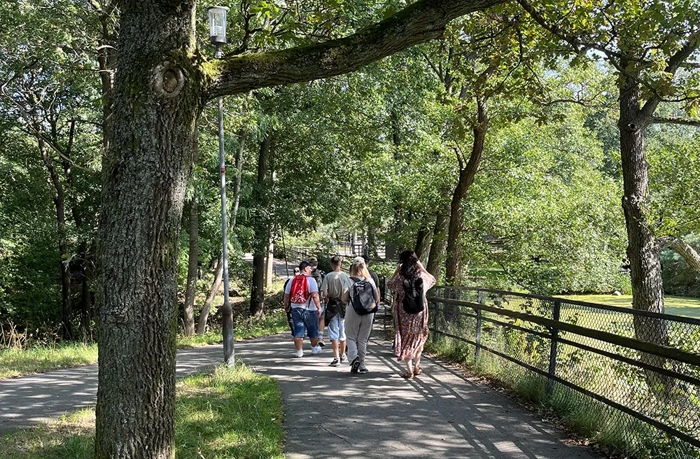 En grupp går en promenad i en skogsmiljö.